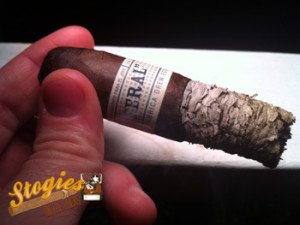 Feral Flying Pig - Great Ash