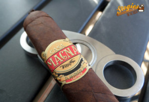 Casa Magna D. Magnus II Limitada