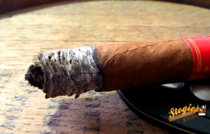 Partagas Serie P No 2 Torpedo