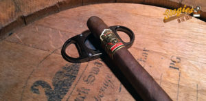 Ashton VSG