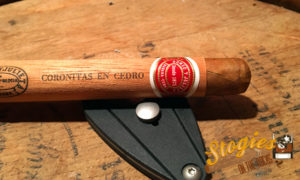 Romeo y Julieta Coronitas en Cedro